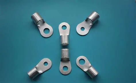 Electronic Component 10